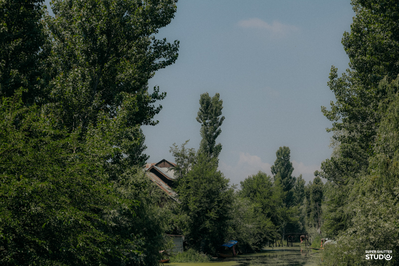 Photography Work