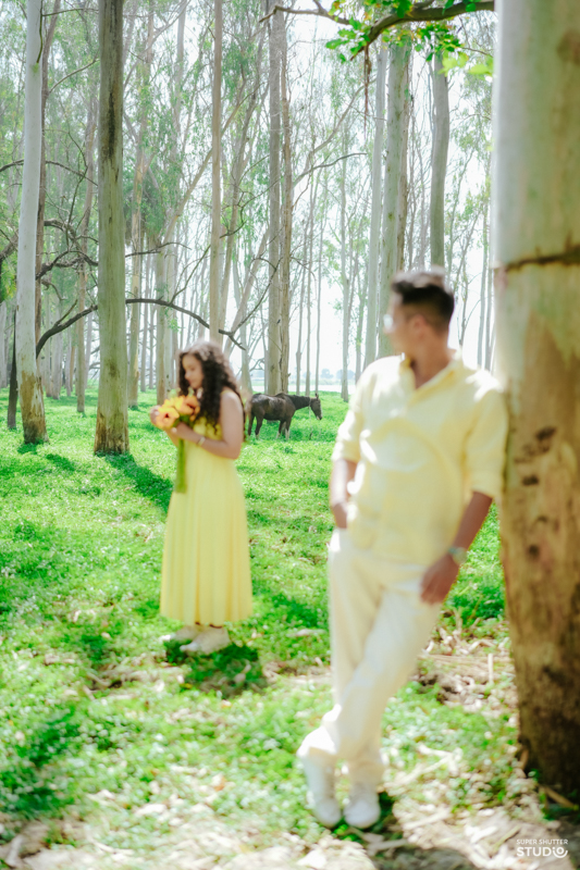 Photography Work