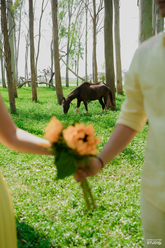 Photography Work